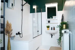 Polar white Tile varnish tile Paint